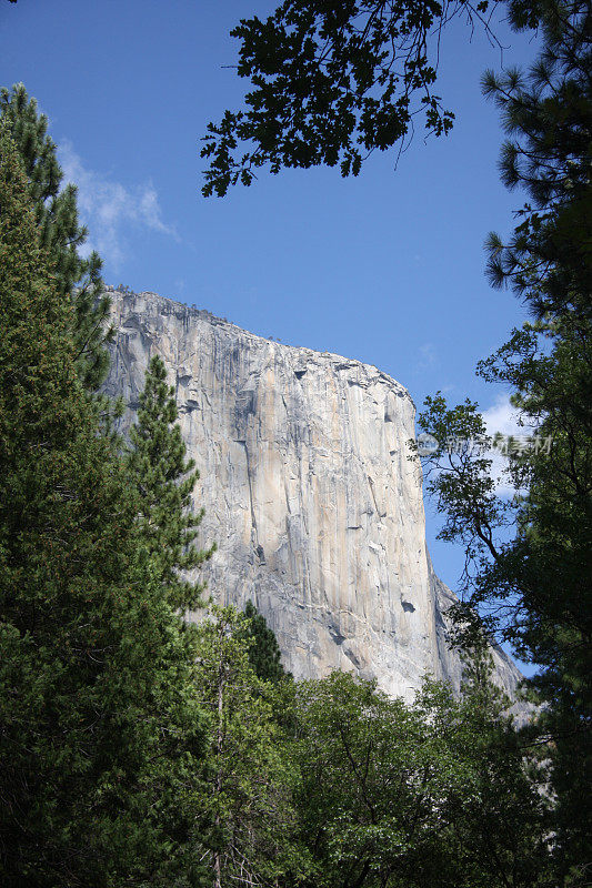 优山美地的El Capitan与树木相框